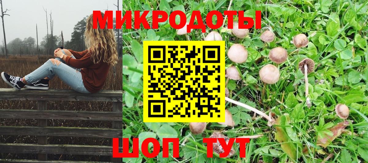 Белово  Галлюциногенные грибы GOLDEN TEACHER  Галлюциногенные грибы Psilocybe  Вход с VPN 